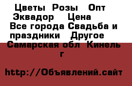 Цветы. Розы.  Опт.  Эквадор. › Цена ­ 50 - Все города Свадьба и праздники » Другое   . Самарская обл.,Кинель г.